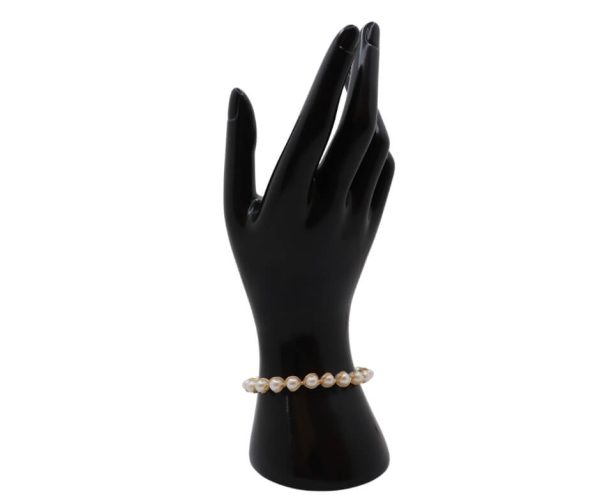 Warda - Image 4